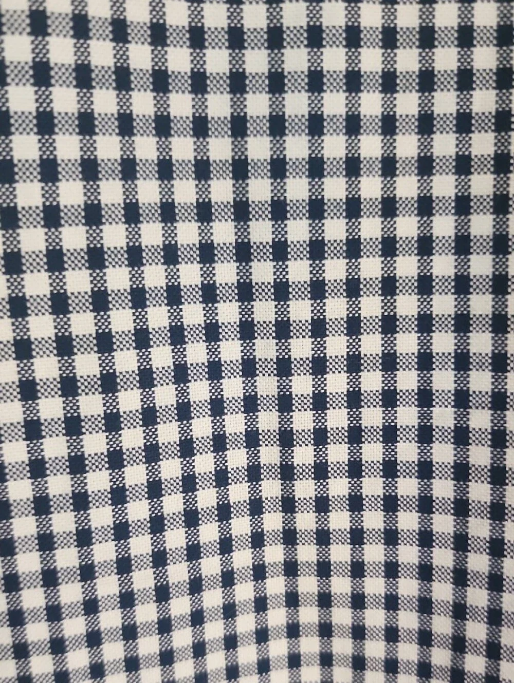 Banana Republic Navy and White Gingham Button-Down Shirt